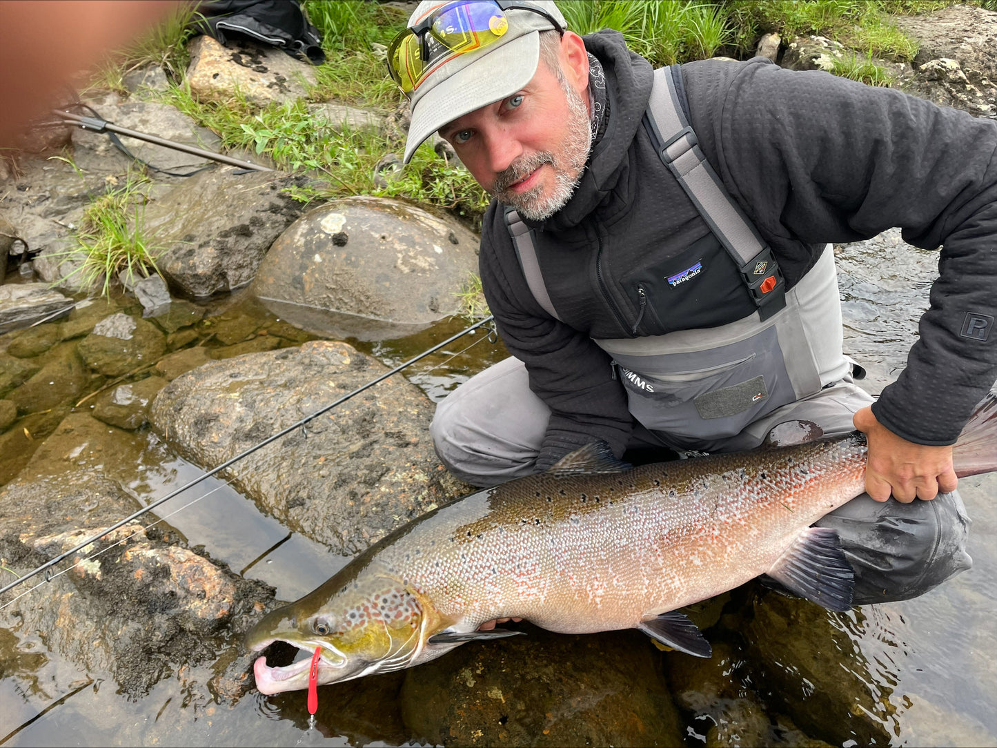 SALMON - CAMPS SKJERN RIVER