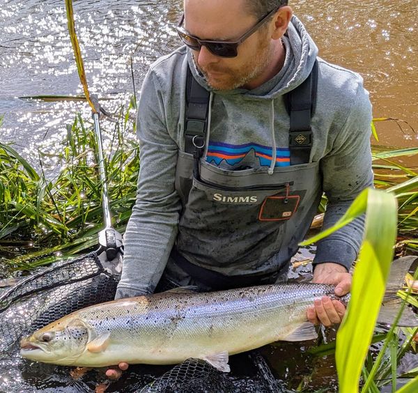 LACHS SPINNFISCHER-TOUR MIT WILLI MIETH 2025