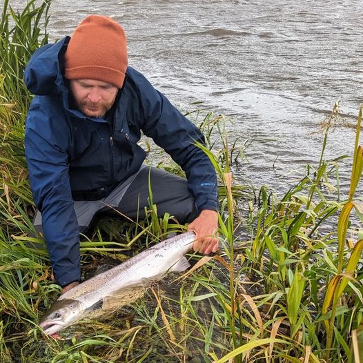 SALMON - CAMPS SKJERN RIVER